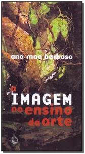 A imagem no ensino da arte