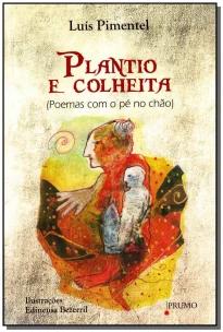 Plantio  e Colheita