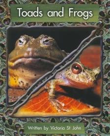 Toads and frogs - 01ed/18